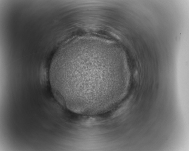 X0000088460772200706051323