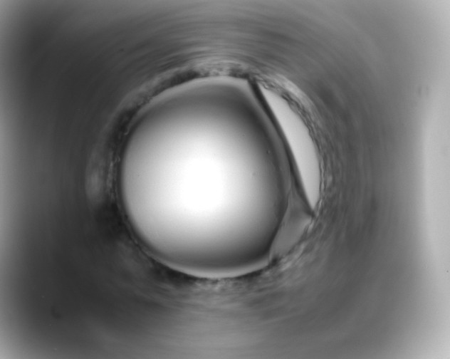 X0000088460775200706051323