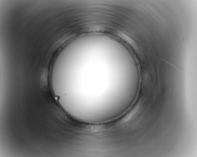 X0000088460778200706051323