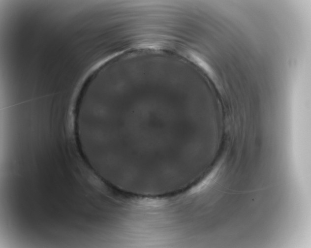 X0000088460779200706051323