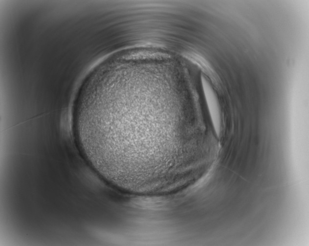 X0000088460780200706051323