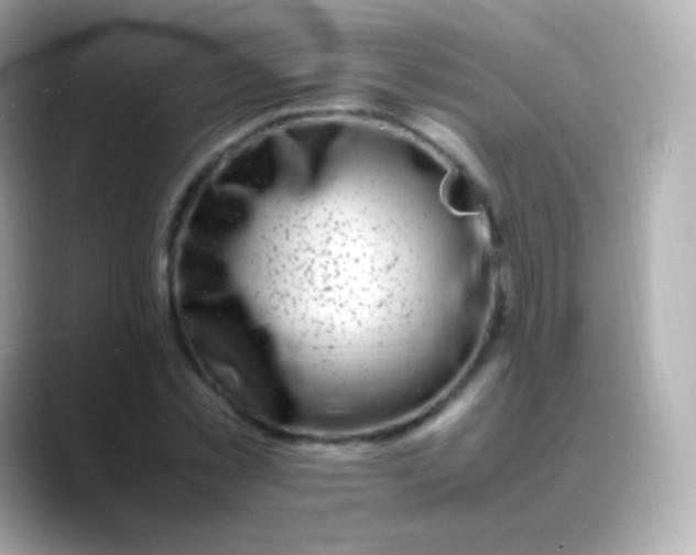 X0000088460781200706051323