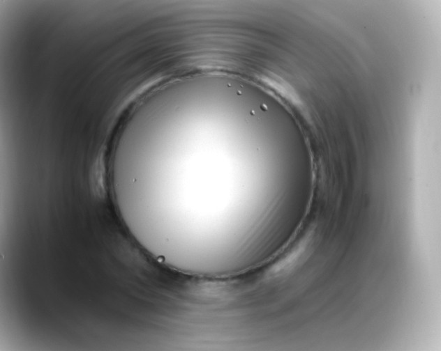 X0000088460782200706051323