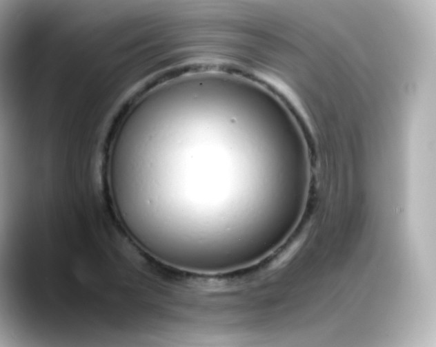 X0000088460783200706051323