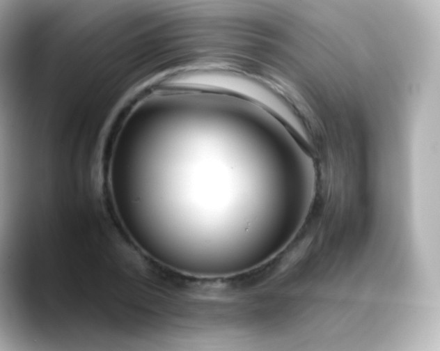 X0000088460784200706051323