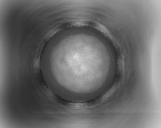 X0000088460785200706051323