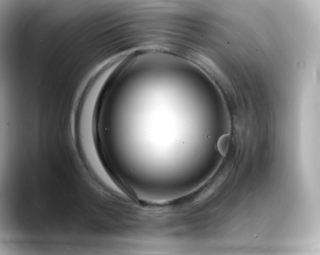 X0000088460788200706051323