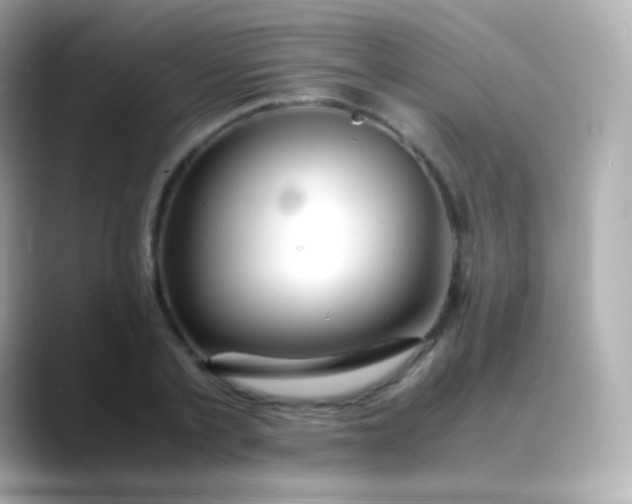 X0000088460789200706051323