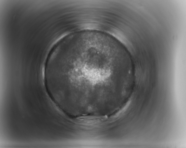 X0000088460790200706051323