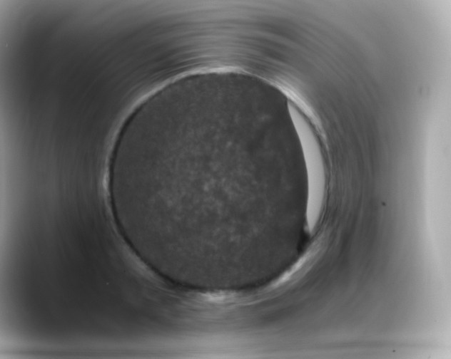 X0000088460797200706051323