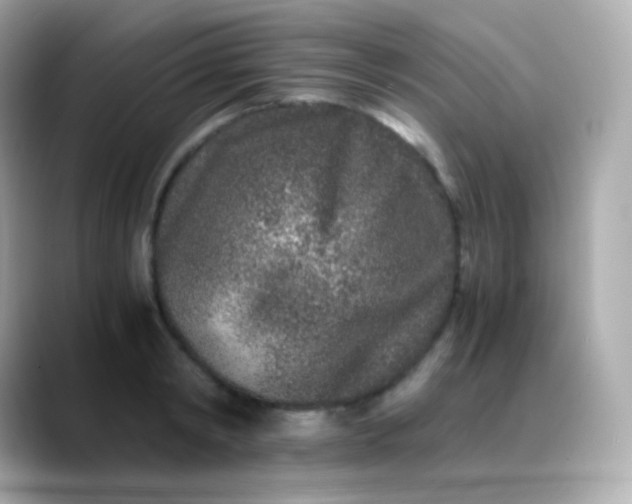 X0000088460798200706051323