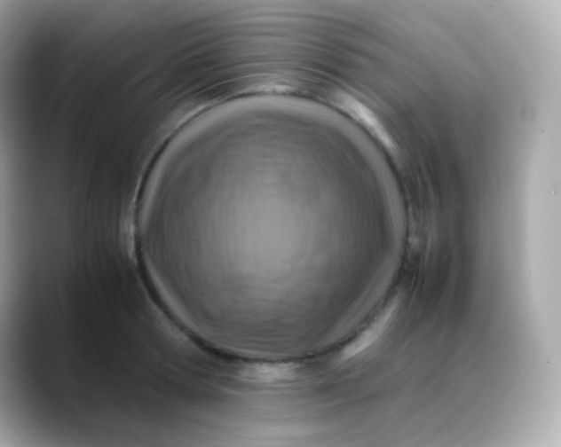 X0000088460802200706051323