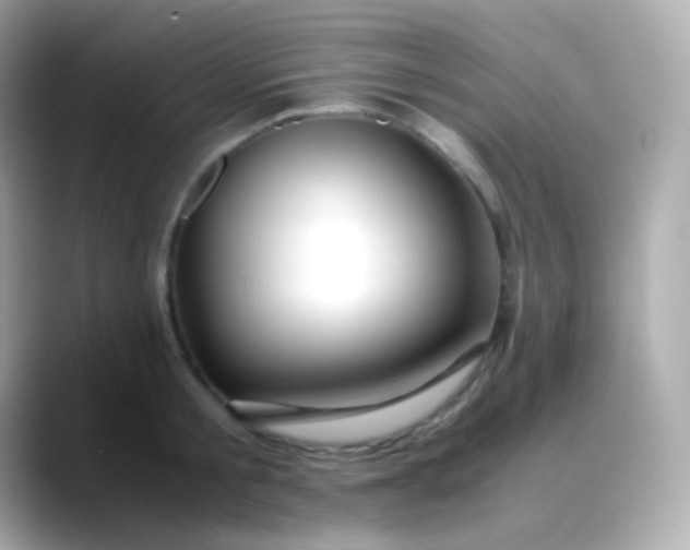 X0000088460805200706051323