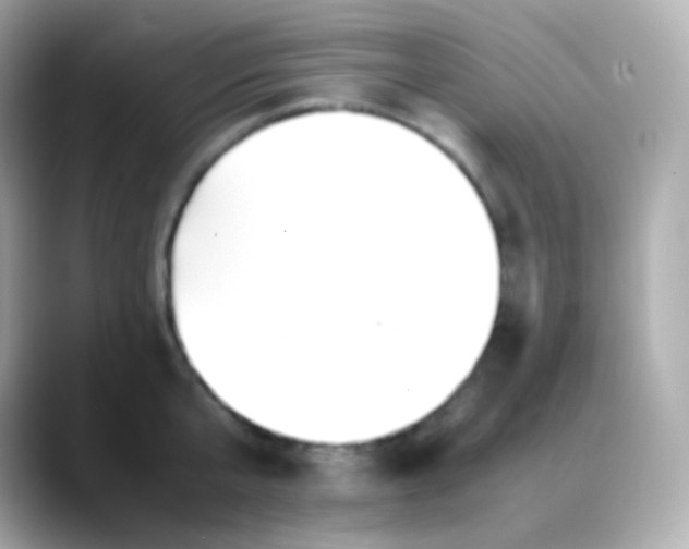 X0000088460807200706051323