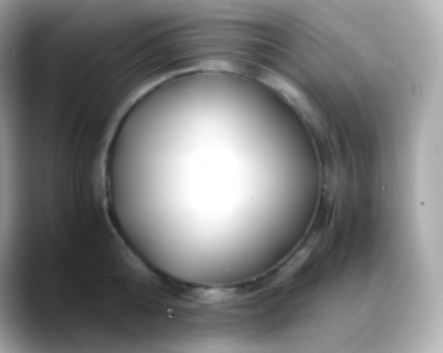 X0000088460808200706051323