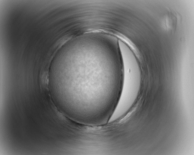 X0000088460809200706051323