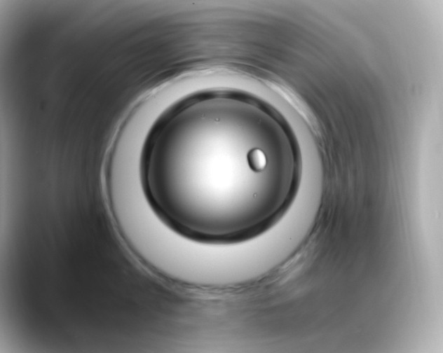 X0000088460813200706051323