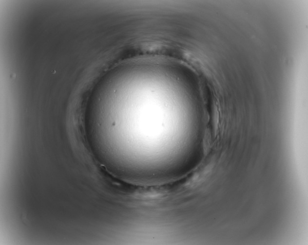 X0000088460817200706051322