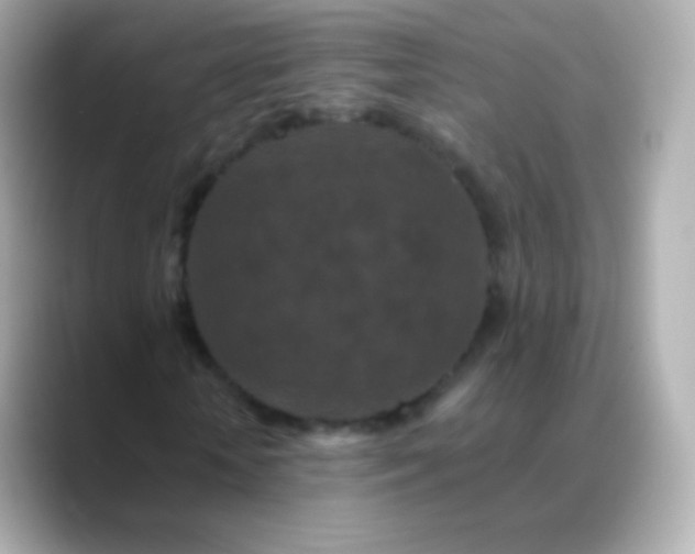 X0000088460818200706051322