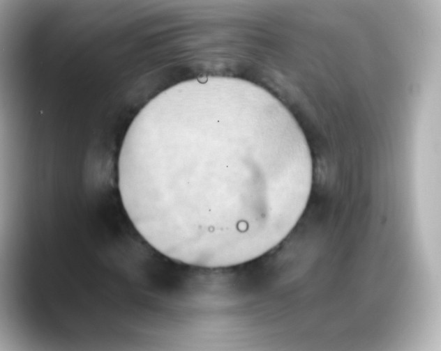 X0000088460820200706051322