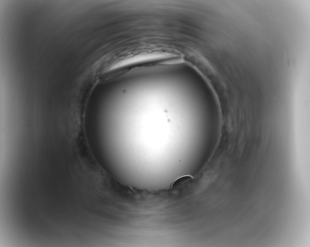 X0000088460821200706051322