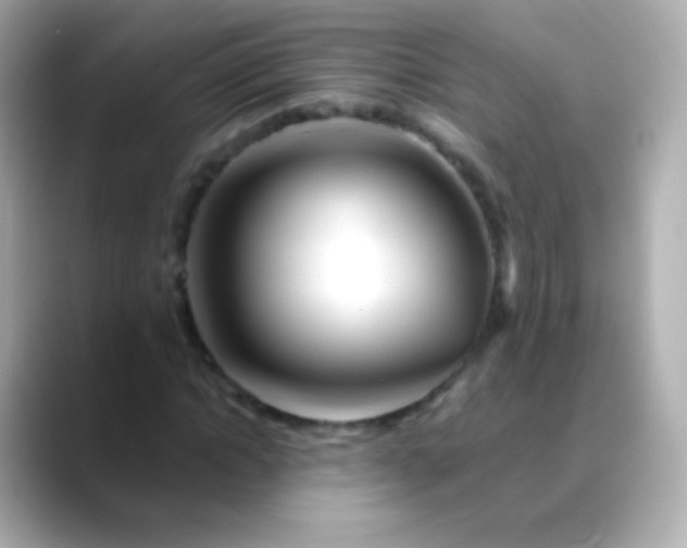 X0000088460822200706051322