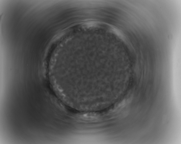 X0000088460823200706051322