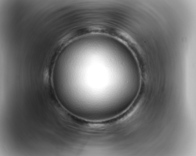 X0000088460825200706051322