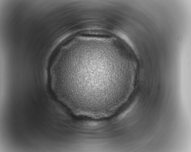 X0000088460829200706051323