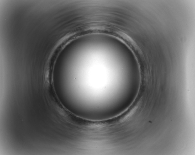 X0000088460830200706051323