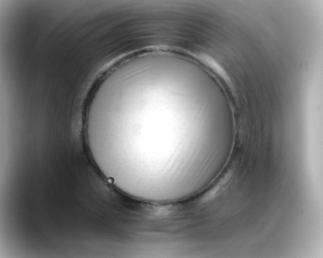 X0000088460831200706051323