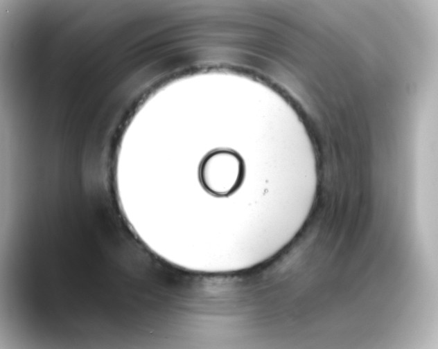 X0000088460832200706051323