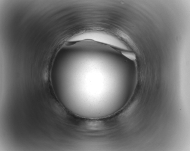 X0000088460833200706051323