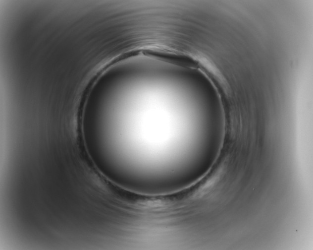 X0000088460834200706051323