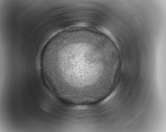 X0000088460835200706051323