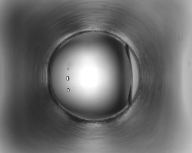 X0000088460838200706051323