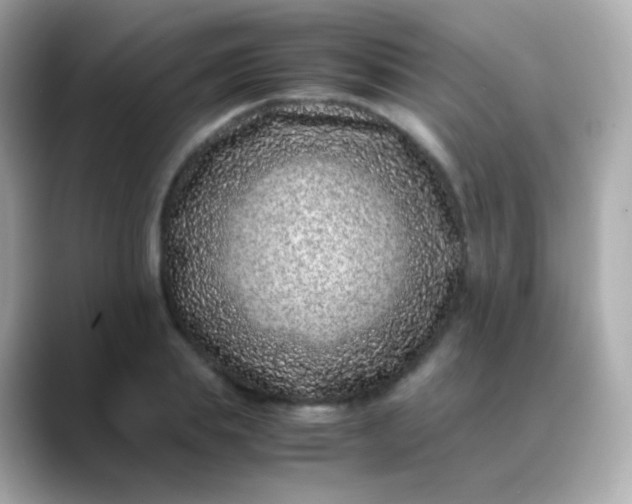 X0000088460839200706051323