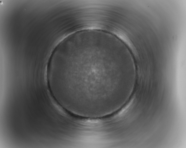 X0000088460842200706051323