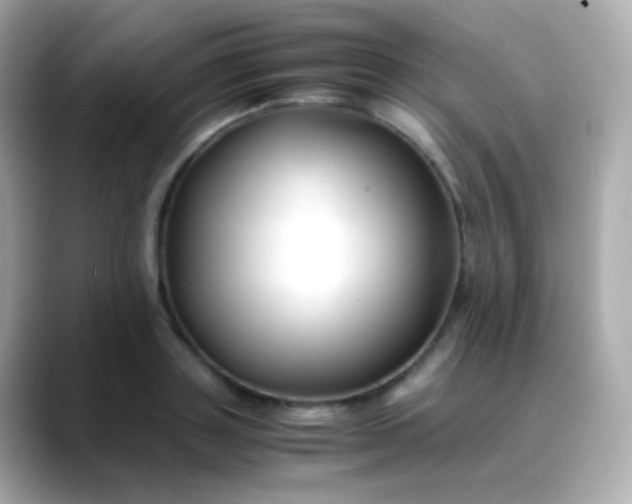 X0000088460843200706051323