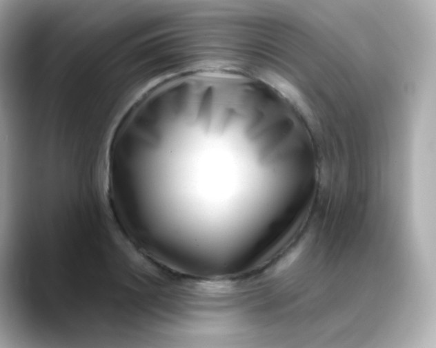 X0000088460844200706051323