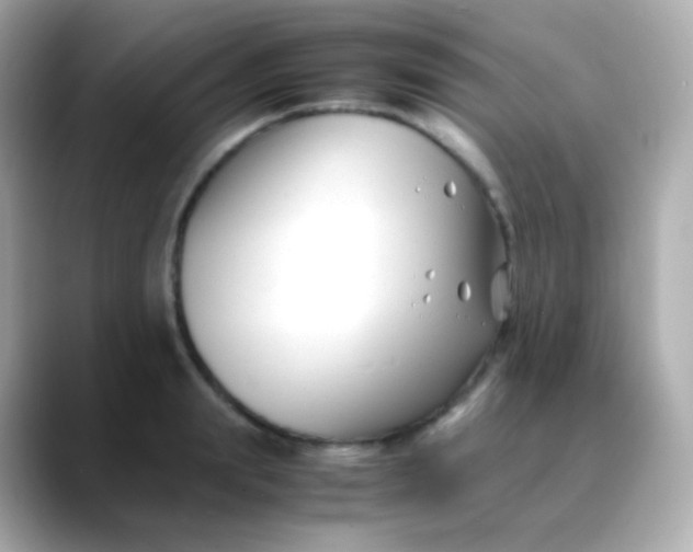 X0000088460847200706051323