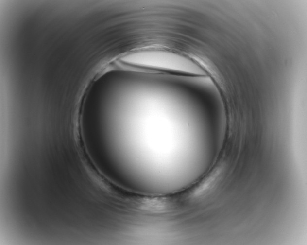 X0000088460850200706051323