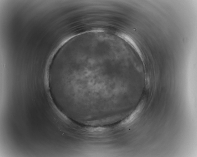 X0000088460851200706051323