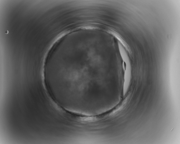 X0000088460853200706051323