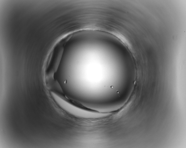 X0000088460854200706051323