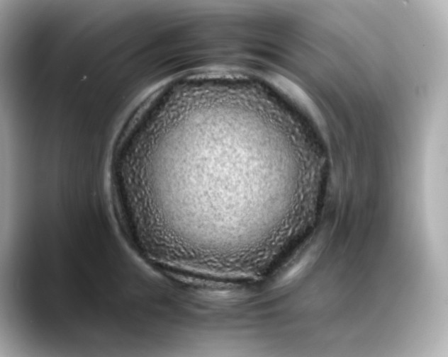 X0000088460855200706051323