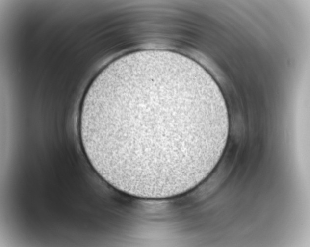 X0000088460856200706051323