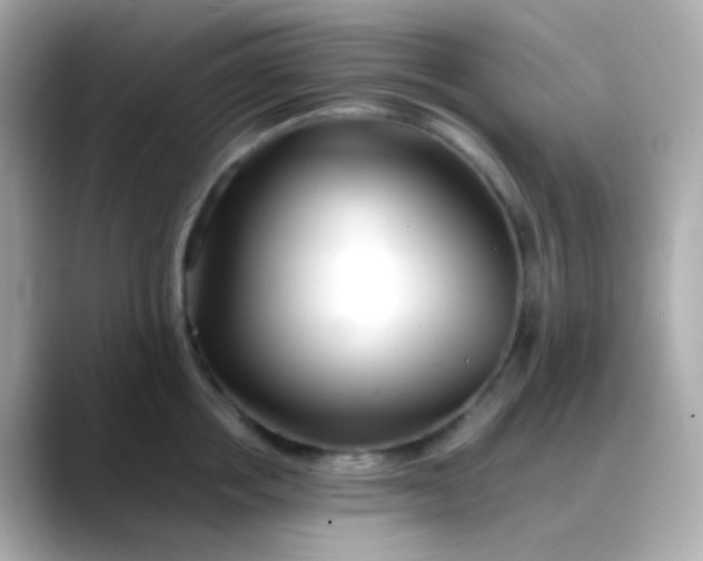 X0000088460858200706051323