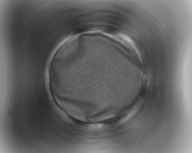 X0000088460859200706051323