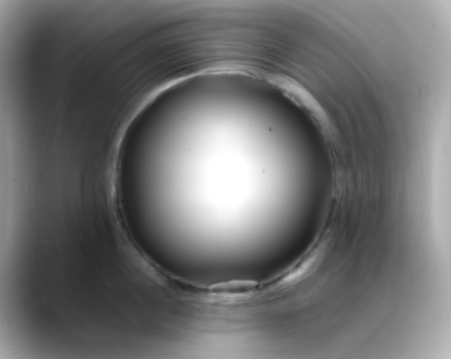 X0000088460860200706051323